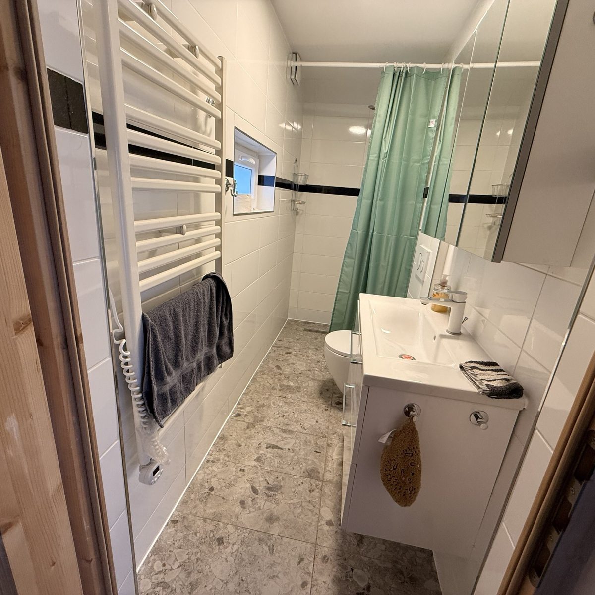 Cozy Swiss Hub – downstairs bathroom